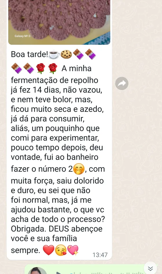 Depoimento de aluna sobre o processo de fermentação